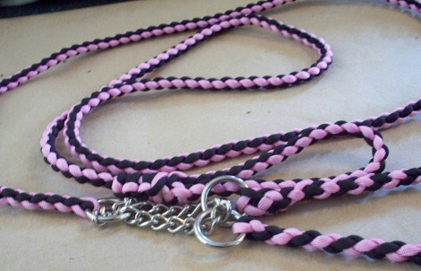 Black and Pink, leash/lead combo, stripe pattern, round  collar